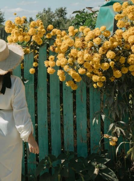 Beautiful Destinations